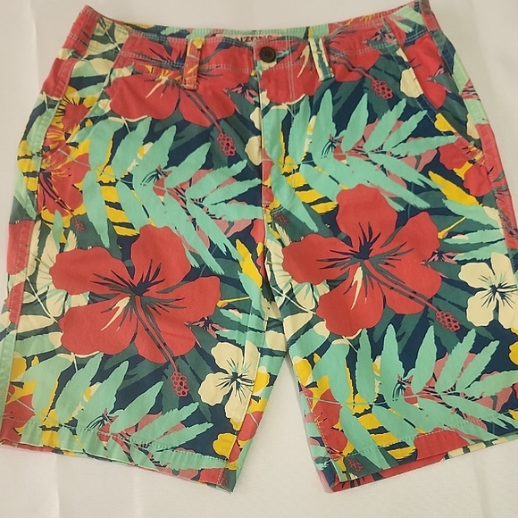 Arizona Jean Company Bundle Striped Gray and Floral Multicolor Shorts - Picture 5 of 16